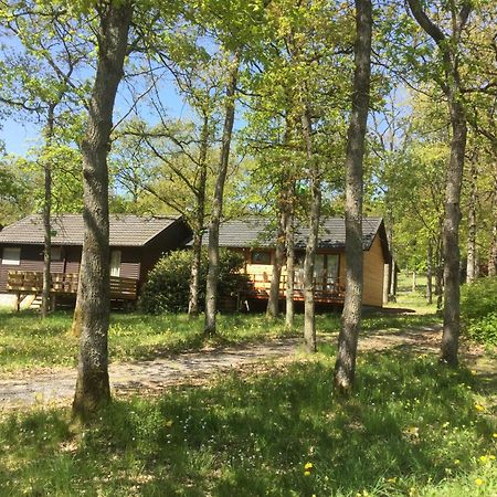 La Bonbonniere Villa Somme-Leuze Exterior foto